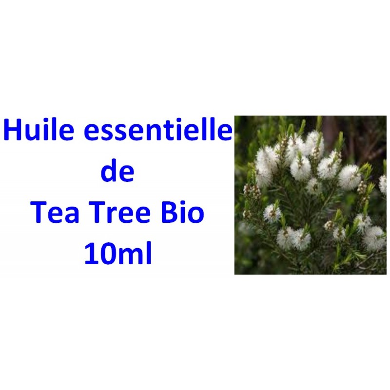 Huile essentielle de tea tree bio 10ml