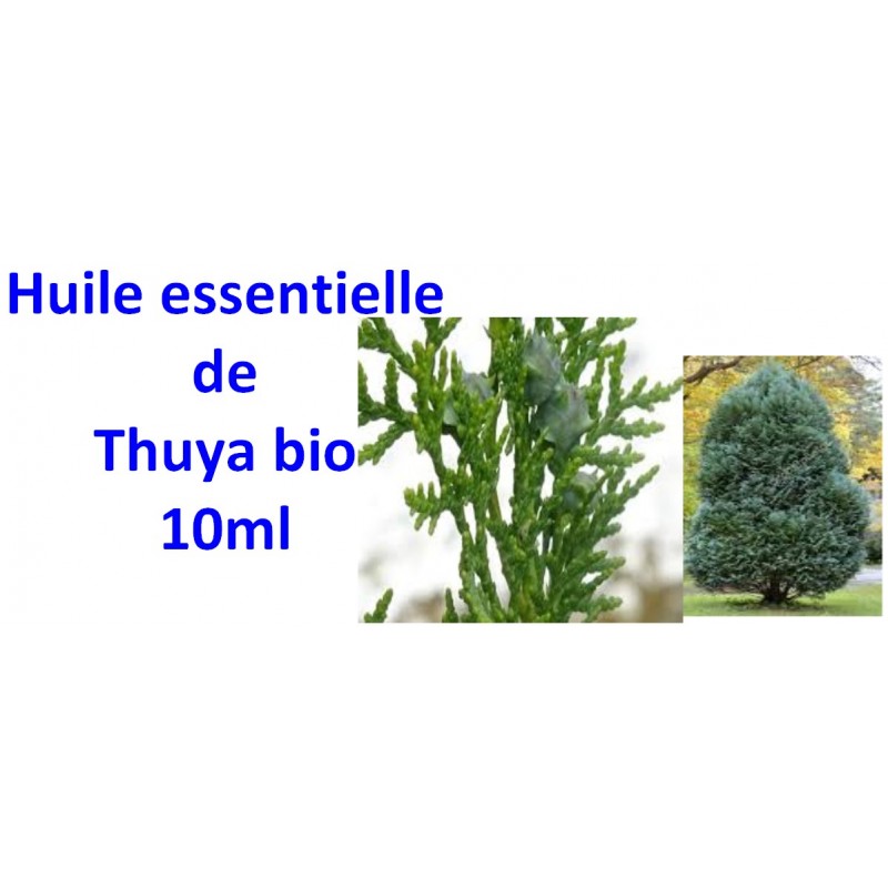 Huile essentielle de Thuya bio 10ml