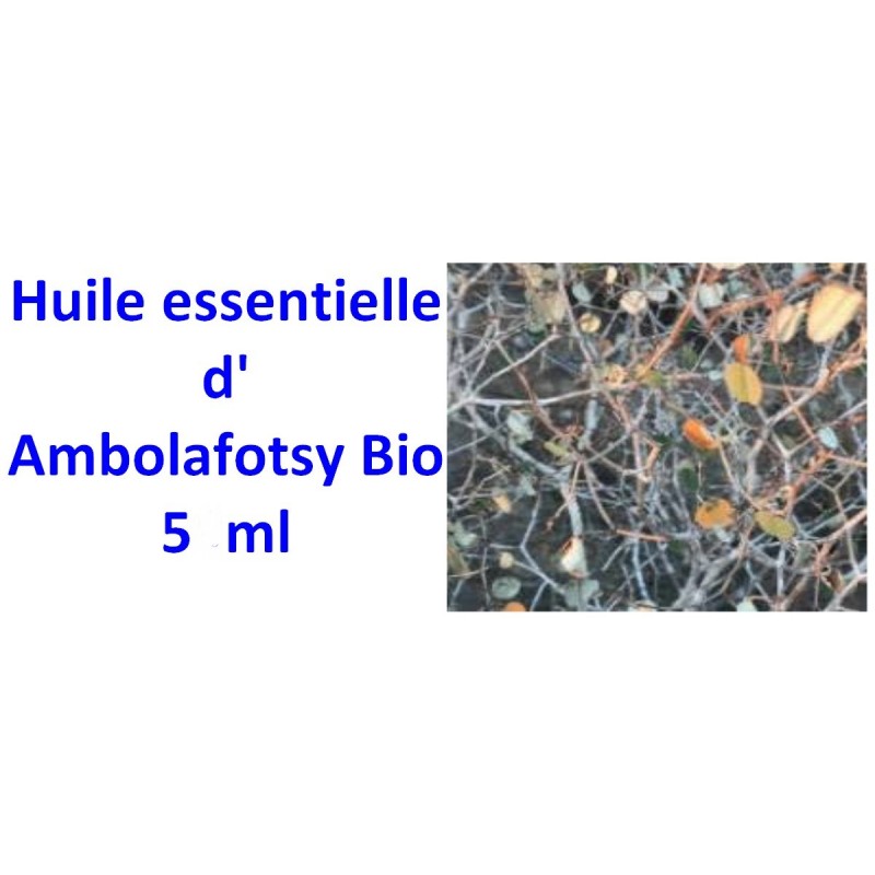 Huile essentielle d'ambolafotsy bio 5ml