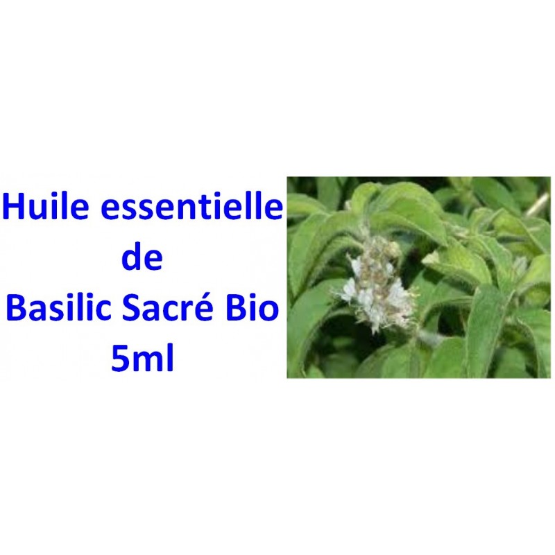 Huile essentielle de basilic sacré Bio 5ml
