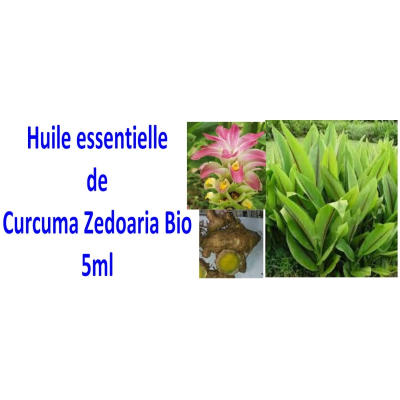Huile essentielle de curcuma zedoaria bio 5ml