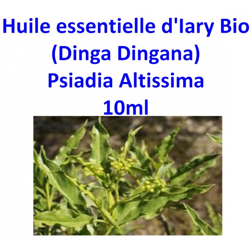 Huile Essentielle d' Iary (Dinga Dingana) Bio 10 ml