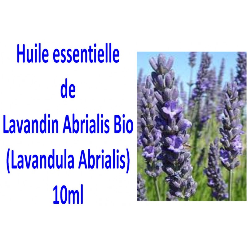 Huile Essentielle de Lavandin Abrialis Bio 10 ml