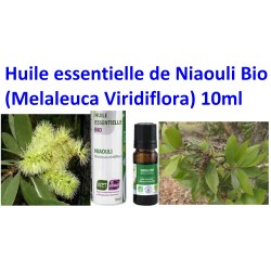 Huile Essentielle de Niaouli Bio 10 ml