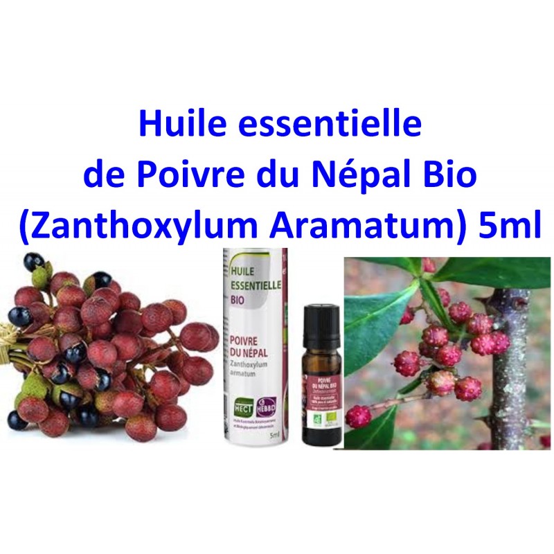 Huile Essentielle de Poivre du Népal Bio 5 ml