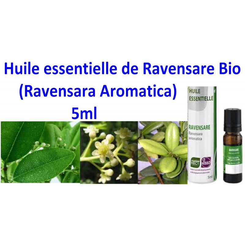 Huile Essentielle de Ravensare Bio 5 ml