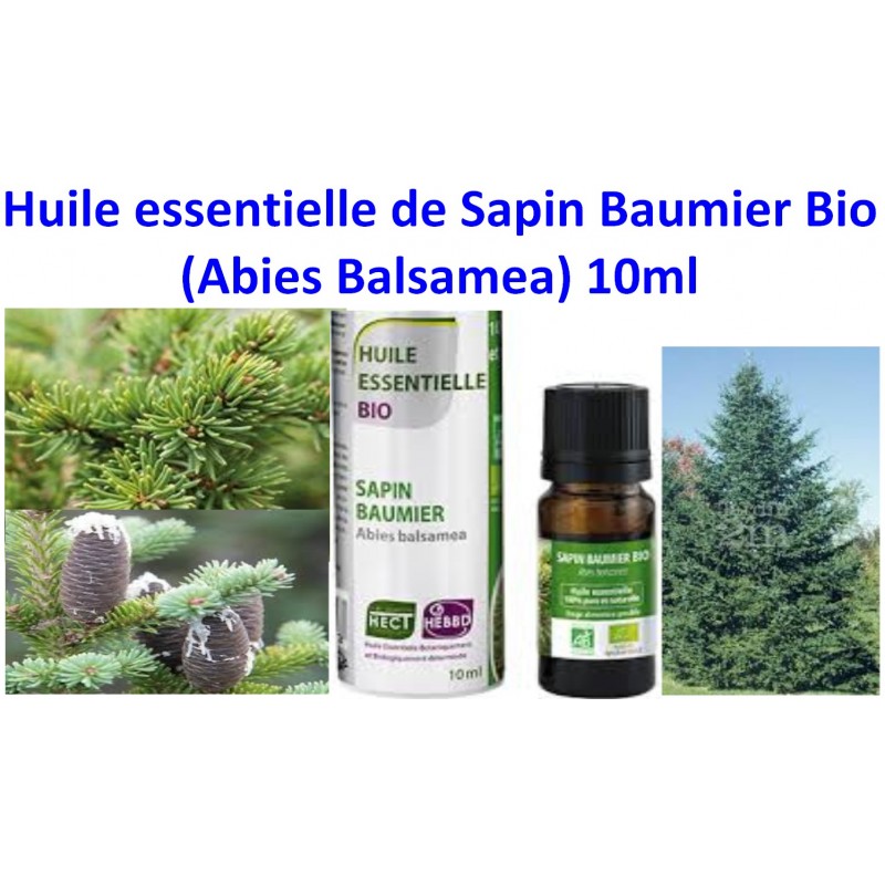 Huile Essentielle de Sapin Baumier Bio 10 ml