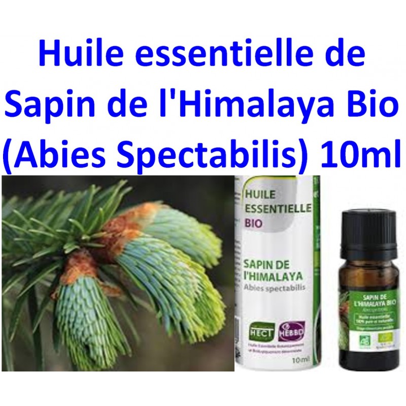 Huile Essentielle de Sapin de l'Himalaya Bio 10 ml